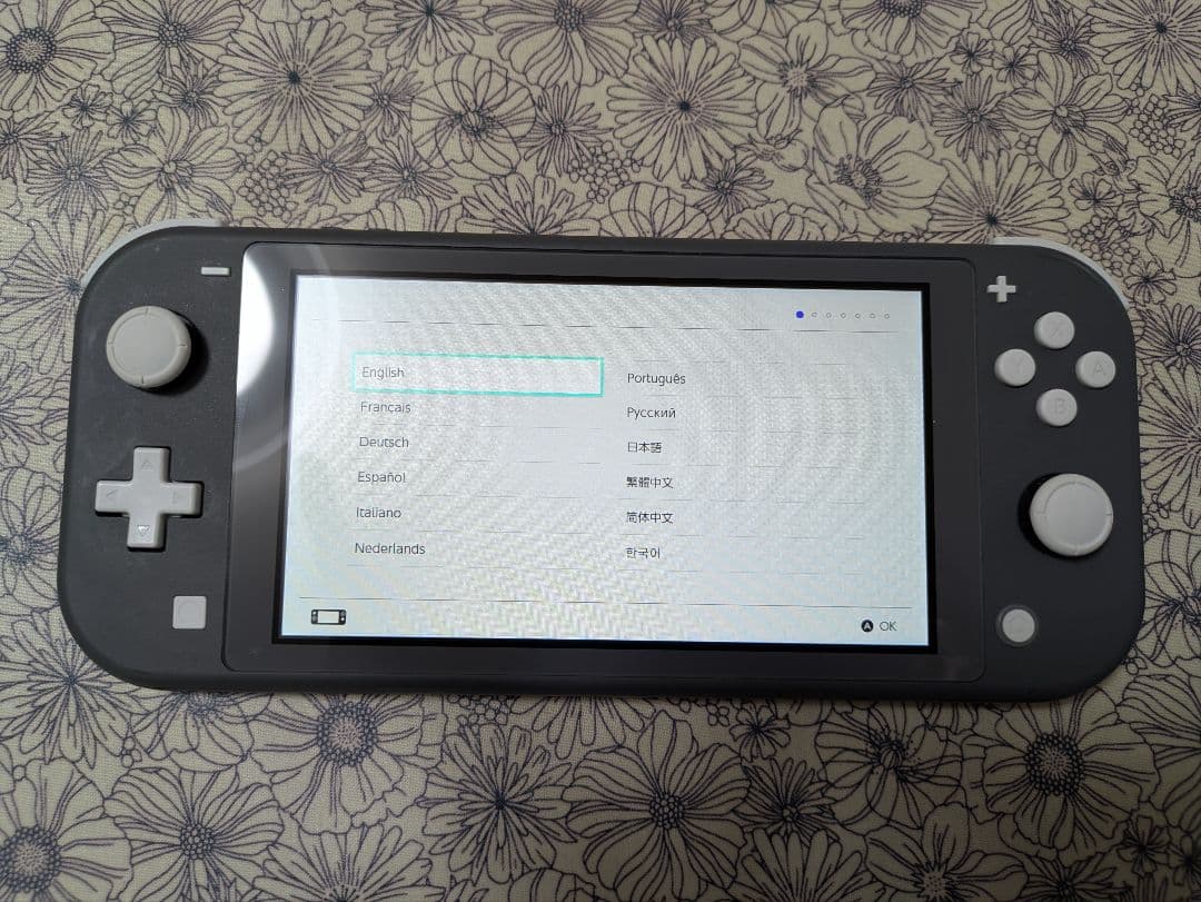 Nintendo Switch Lite（microSDカード付）本体