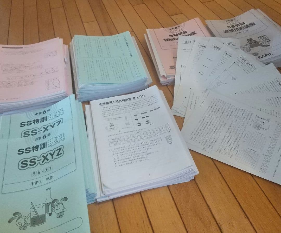 SAPIX　SS特訓　桜蔭