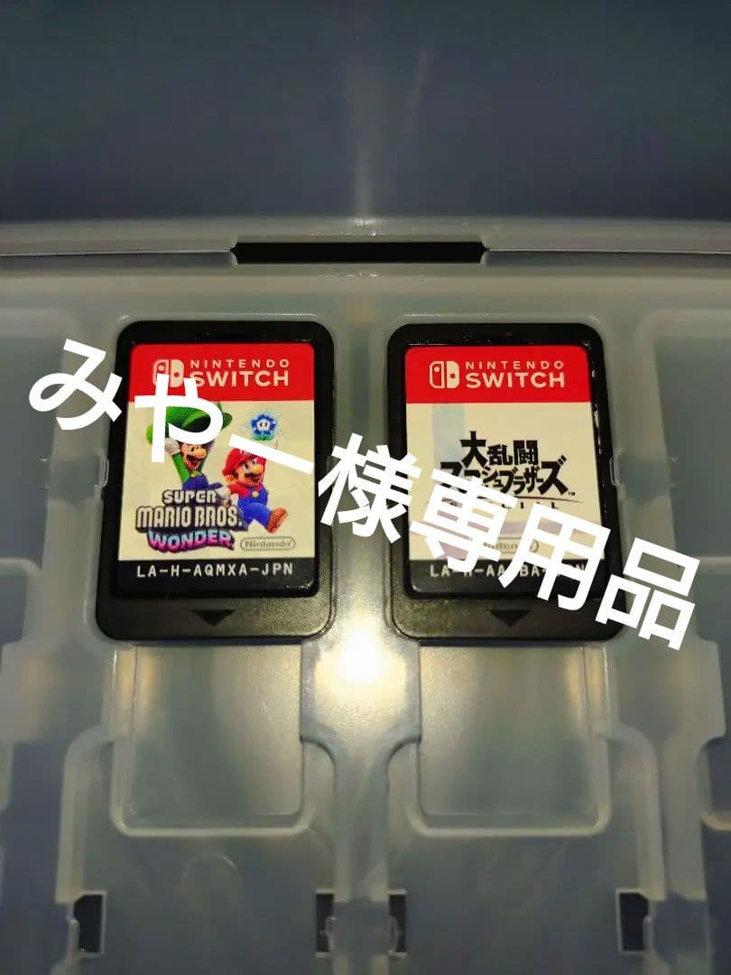 Switchソフト２本セット