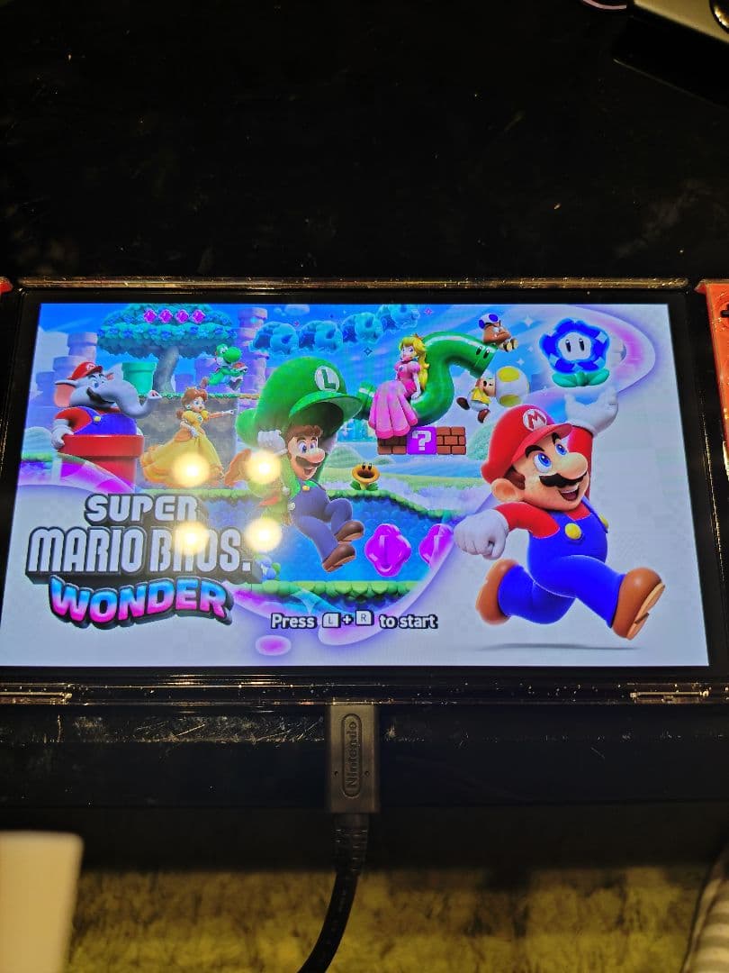 Switchソフト２本セット