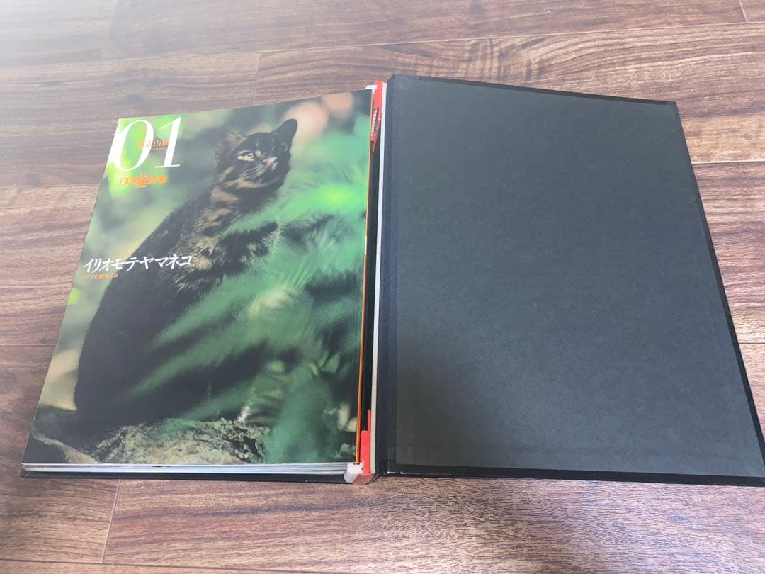 週刊 日本の天然記念物 動物編 全50巻＋フィギュア