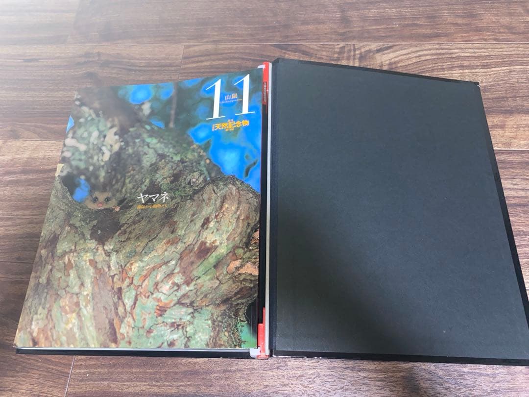 週刊 日本の天然記念物 動物編 全50巻＋フィギュア