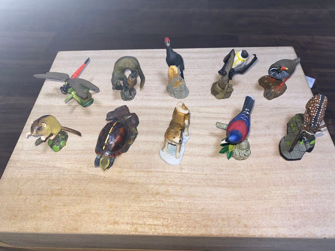 週刊 日本の天然記念物 動物編 全50巻＋フィギュア