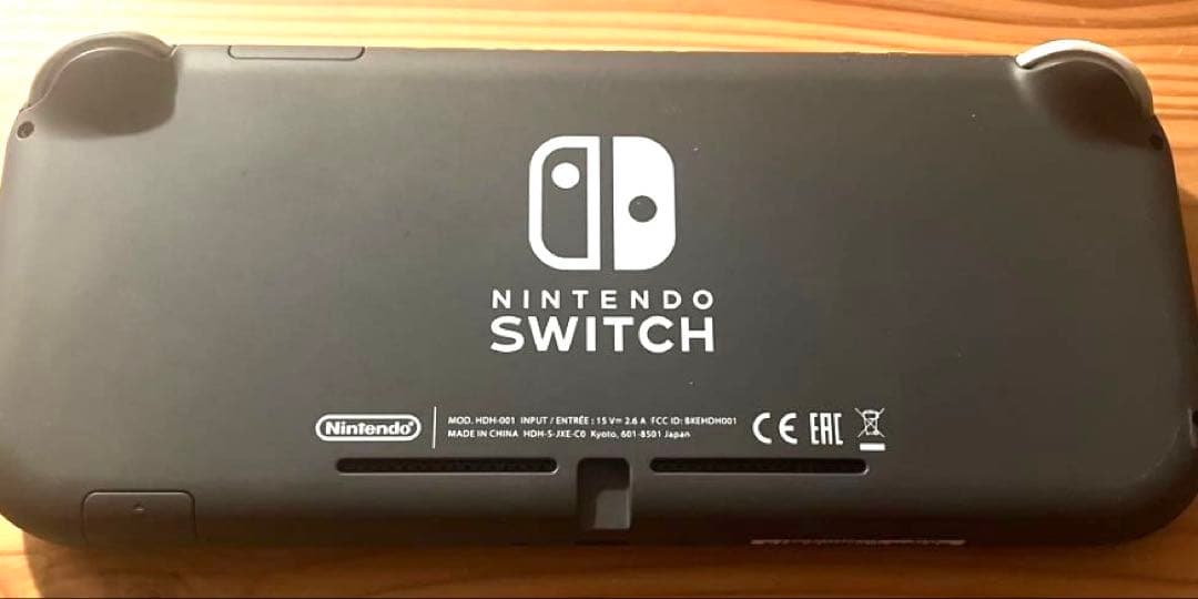 Nintendo Switch Lite 本体 + キャリングケース