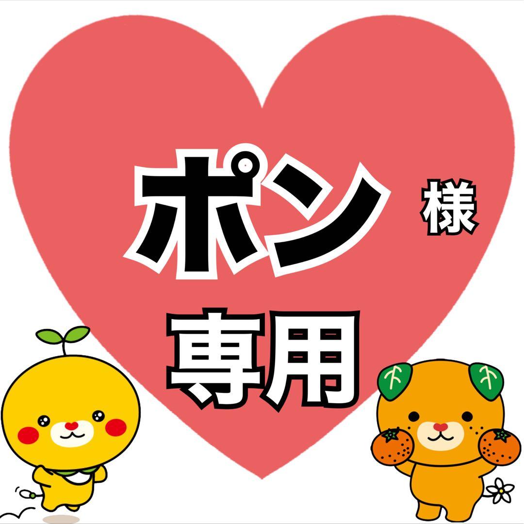 ポンBshop別注 MexiPa インサレーションメキシカンパーカー