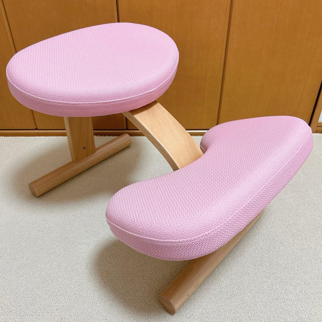 えんがわ‼️●美品●バランスイージー　【専用撥水カバー付】ショートフレーム