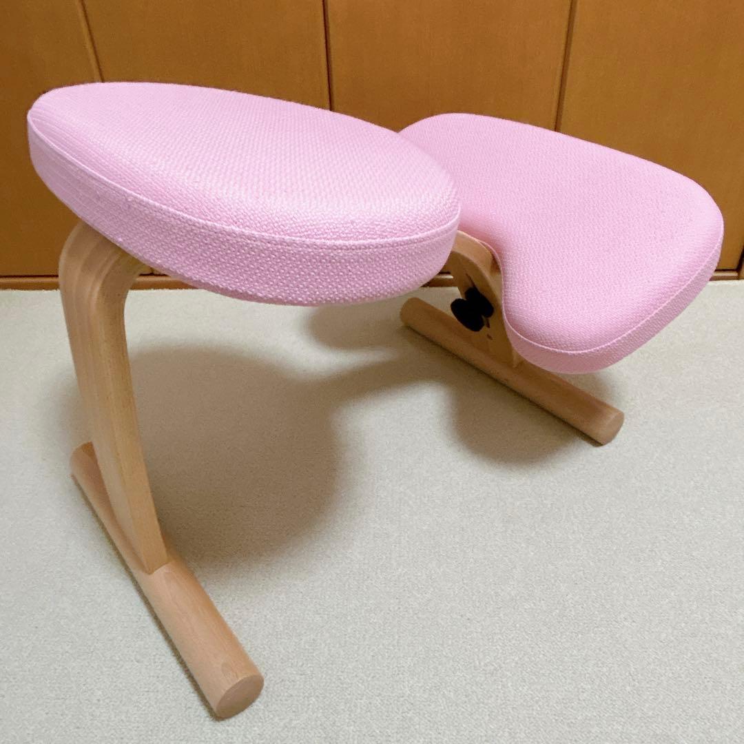 えんがわ‼️●美品●バランスイージー　【専用撥水カバー付】ショートフレーム