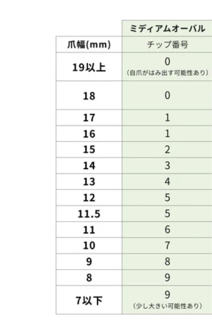 Ever Nail Espresso Mocha エスプレッソモカ ネイルチップ