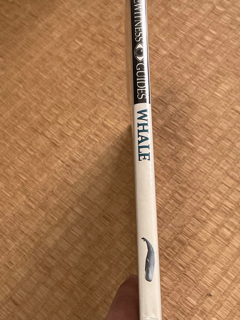 洋書　クジラの本　EYEWITNESS GUIDES シリーズ　WHALE