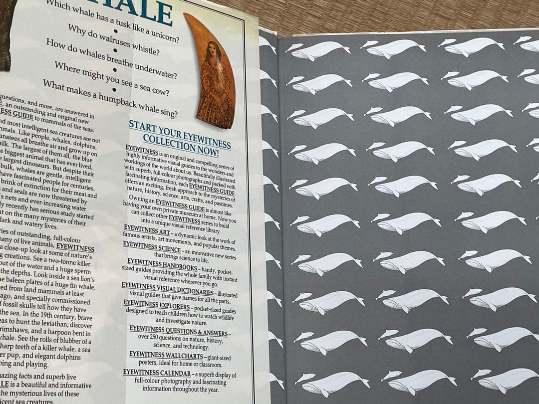 洋書　クジラの本　EYEWITNESS GUIDES シリーズ　WHALE