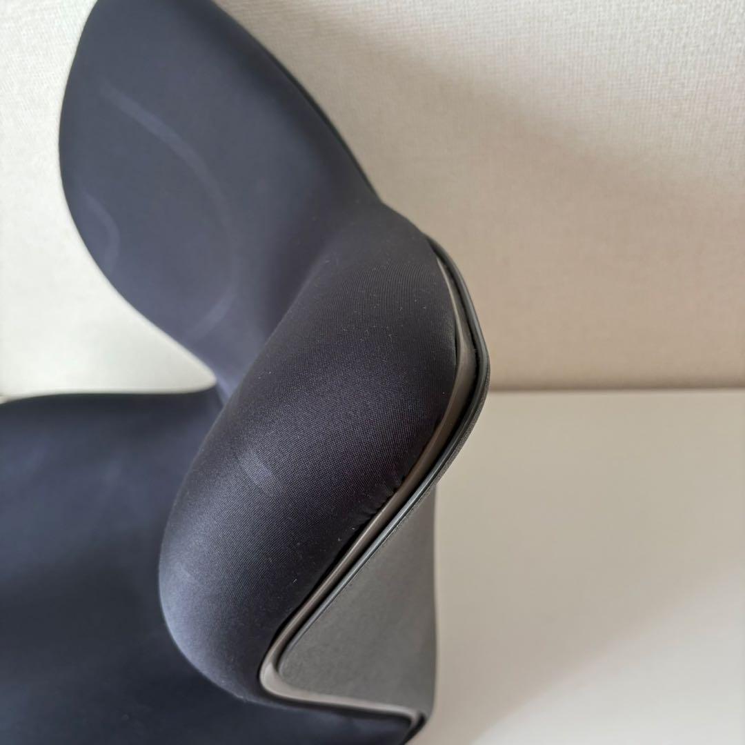 専用　MTG Style Premium スタイルプレミアム　骨盤サポートチェア