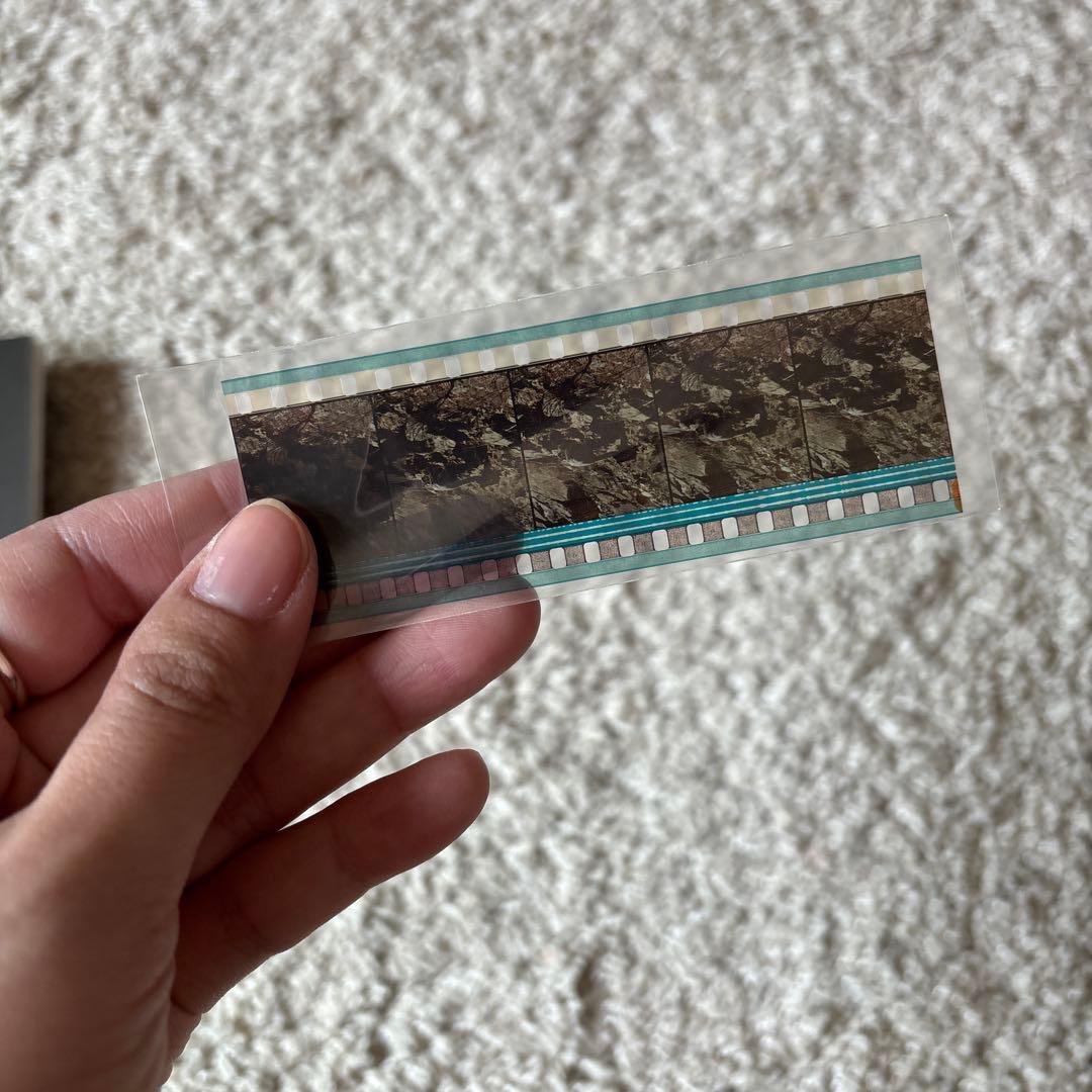 廃盤レア✴︎初回特典（ネガ）付き！イントゥ・ザ・ワイルド('07米)dvd