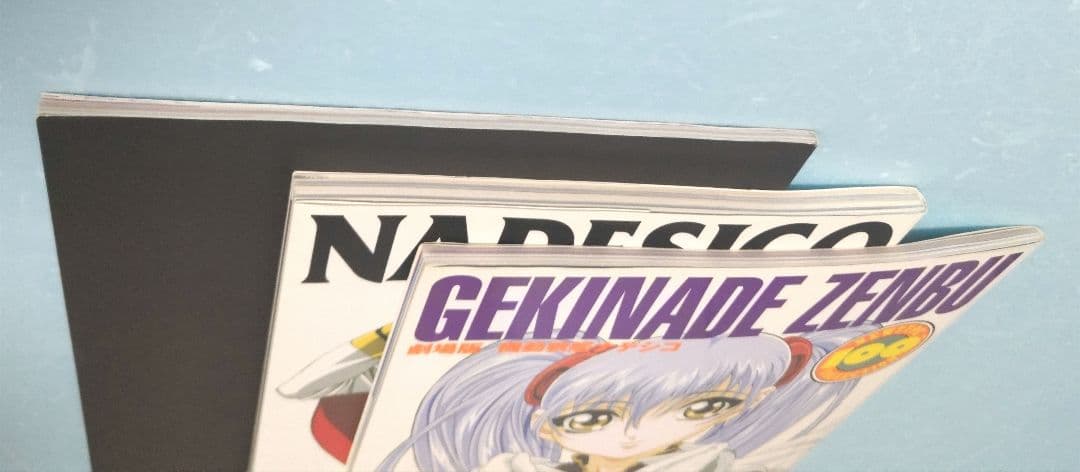 ナデシコプラス ビジュアルブック 機動戦艦ナデシコNewtype