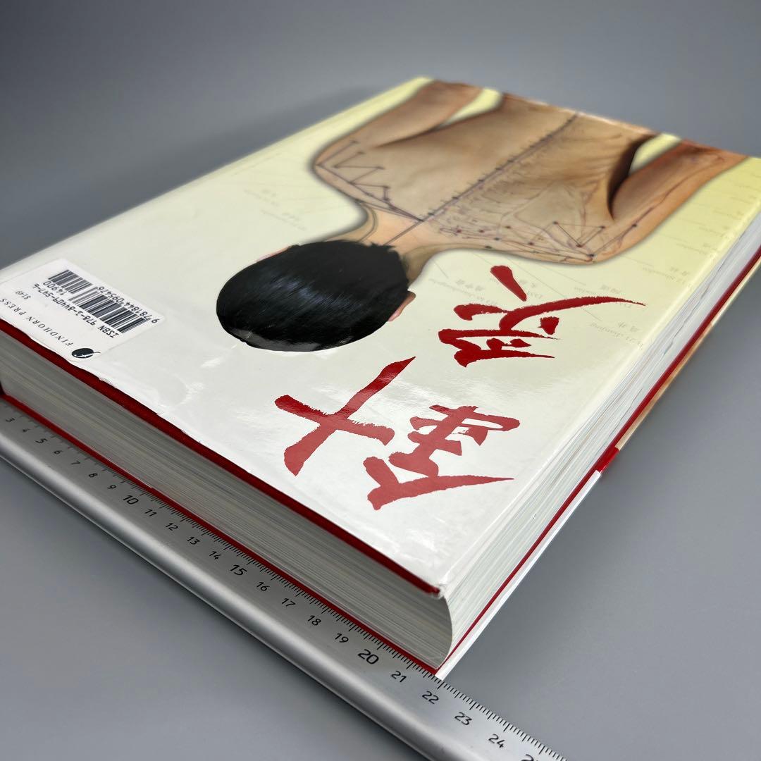 Àtlas fotográfico de acupuntura 鍼灸廃盤希少洋書