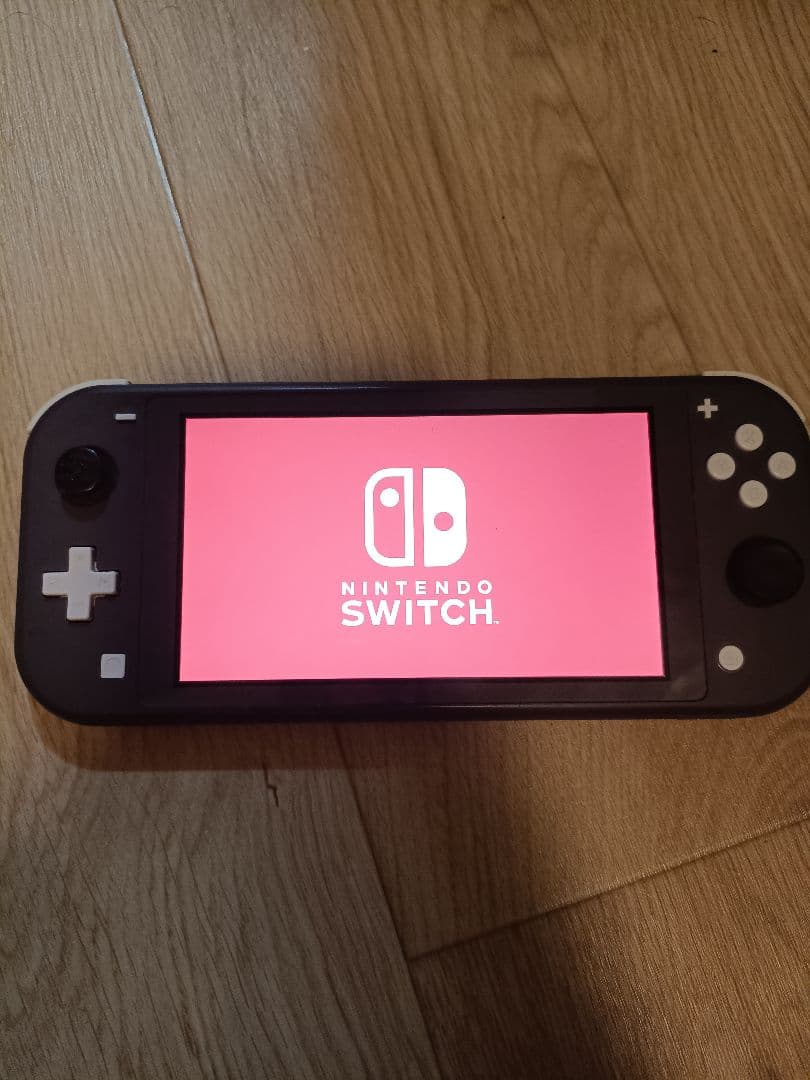 Nintendo Switch Lite グレー　本体のみ