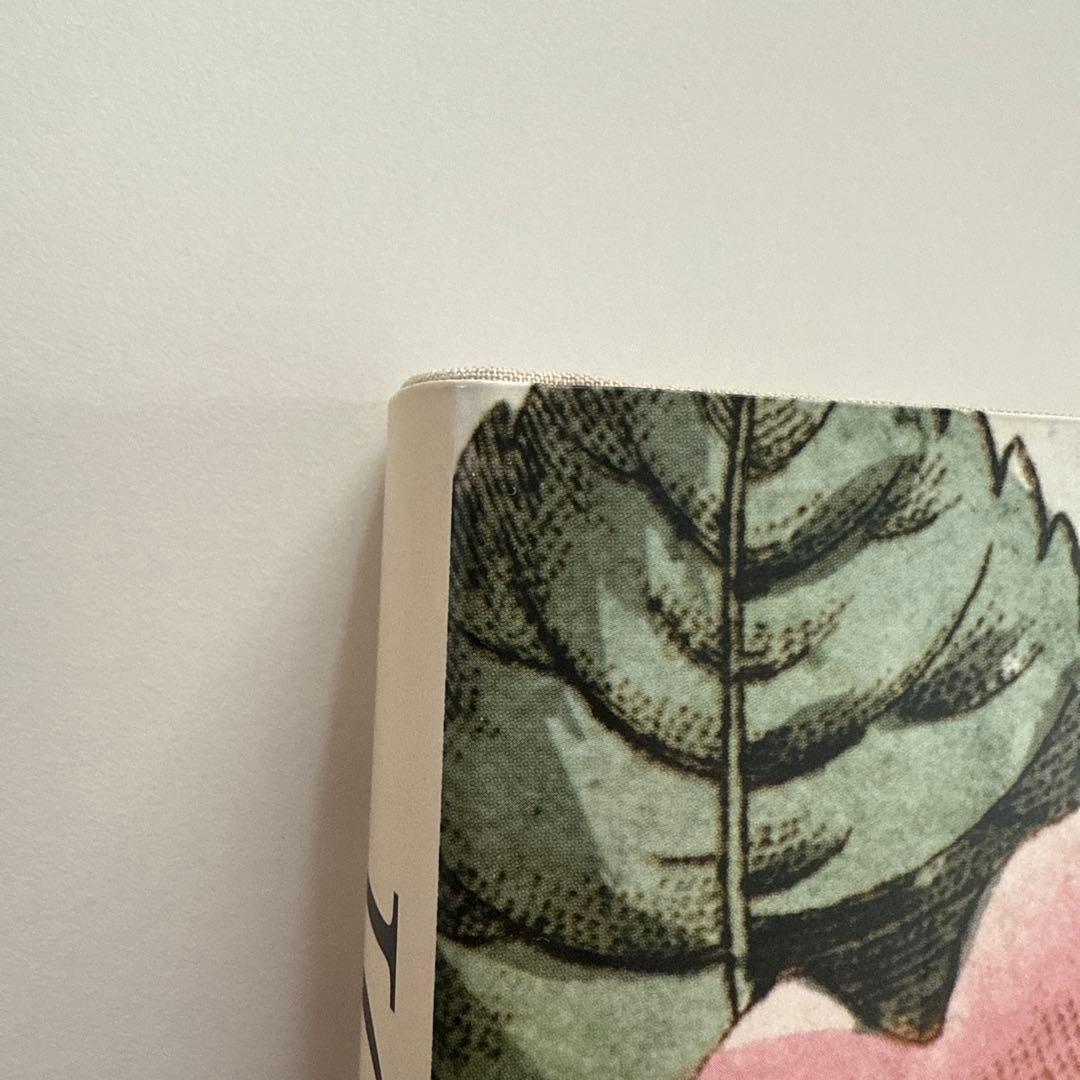 【最終お値下げ10/5本日までの特価です】ジョンデリアン ピクチャーブックII