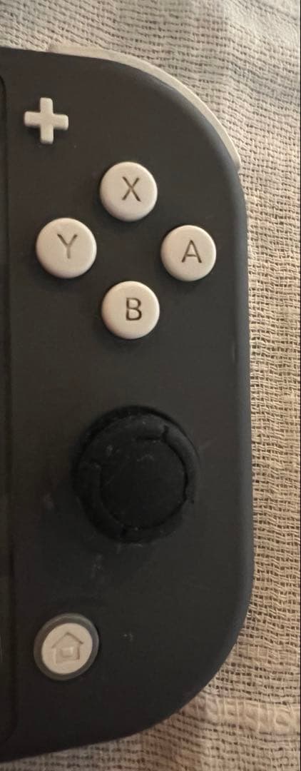 Nintendo Switch Lite 本体 充電器・ケース・カバー付き