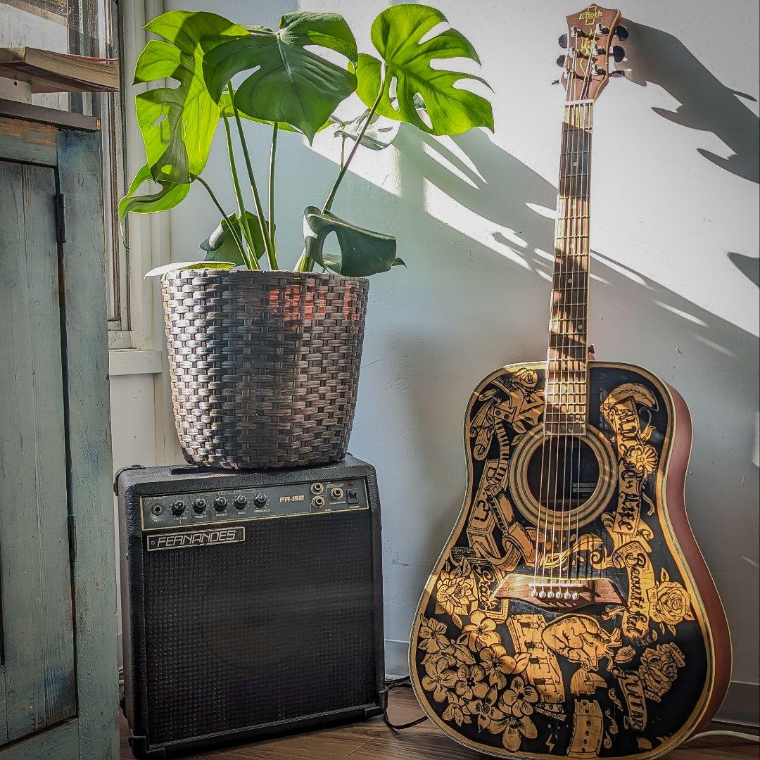 Elioth製カスタムフォークギター