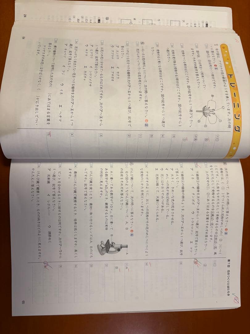 中学受験新演習　5年生 ほぼフルセット32冊