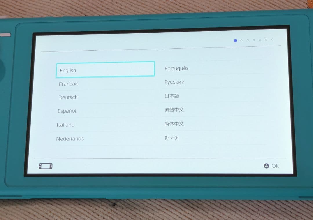 Nintendo Switch Lite グリップカバー付 (お値下げ不可)