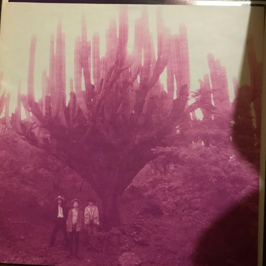 ブランキージェットシティ　SKUNK オリジナルLP ジャケ違い　状態良好