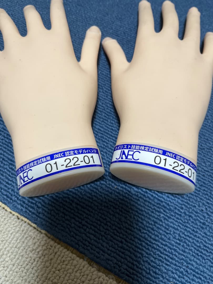 JNA認定ハンドモデル