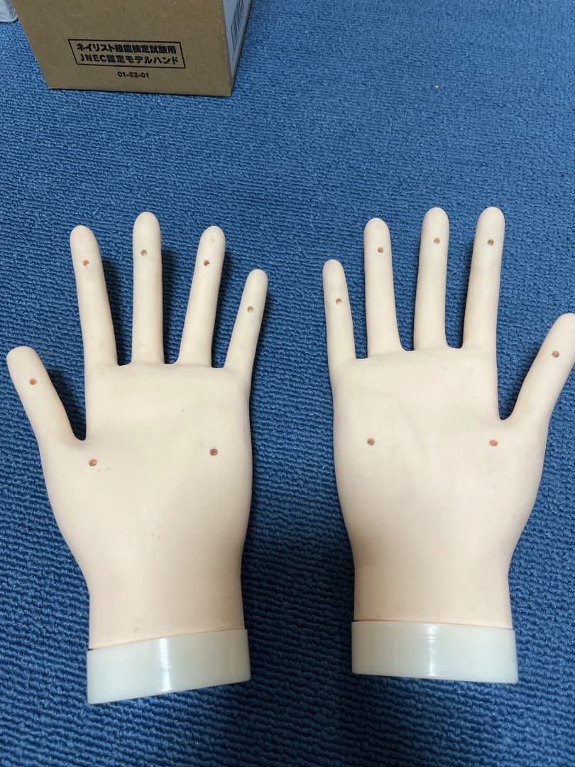 JNA認定ハンドモデル