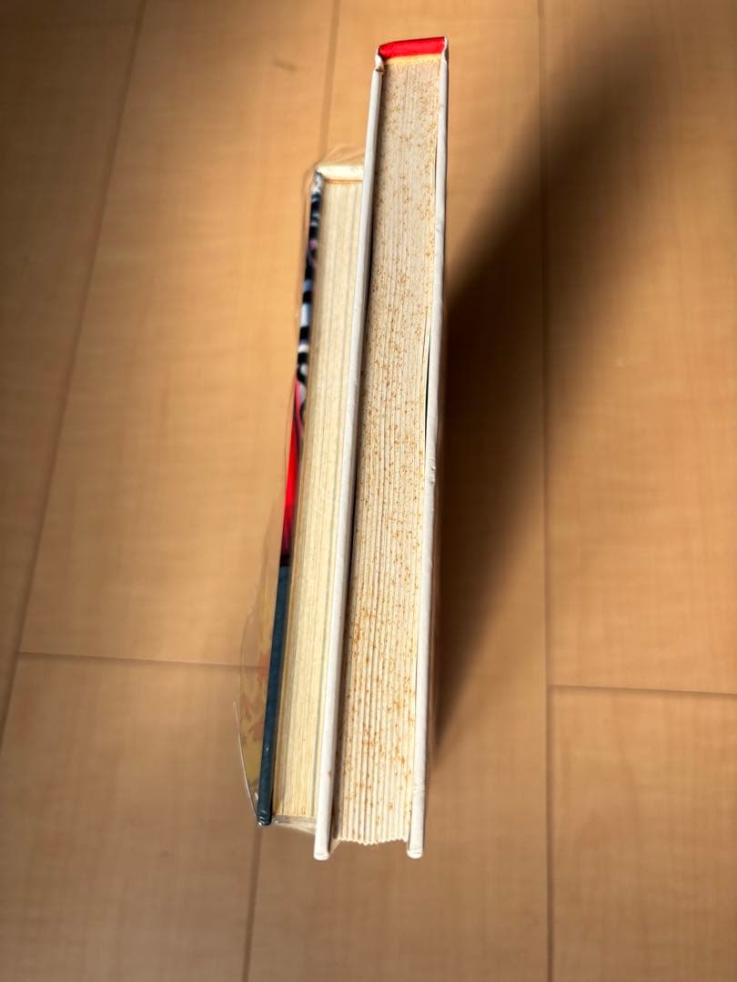 アイルトン・セナのレーシングドライビング