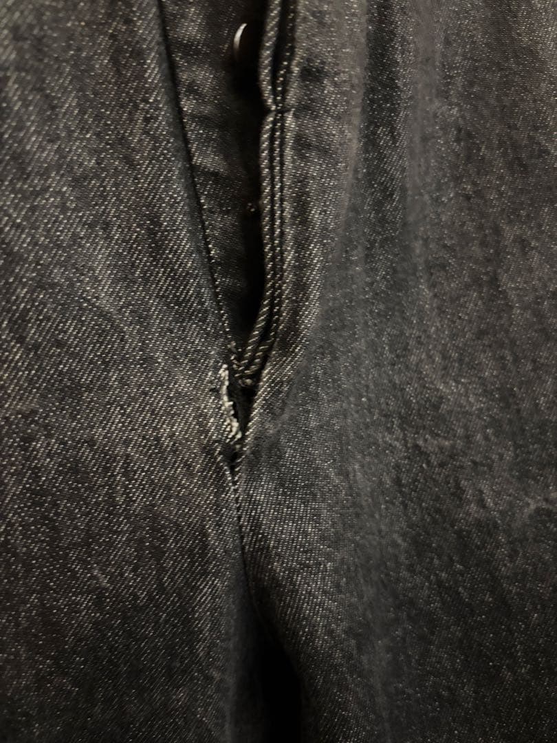 gabriela coll garments デニム