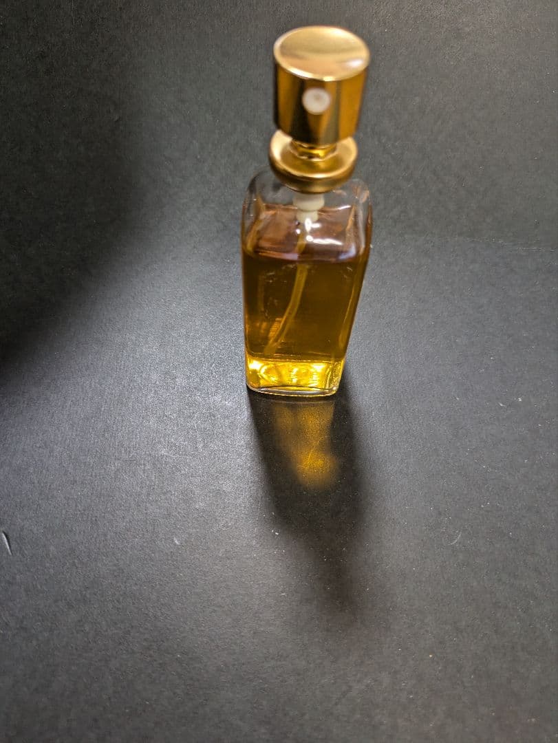 新品未使用 CHANEL Eau de Toilette  N°50 プレー式