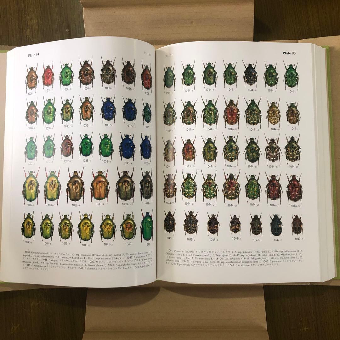 テオドシア様　　 世界のハナムグリ 大図鑑　むし社出版