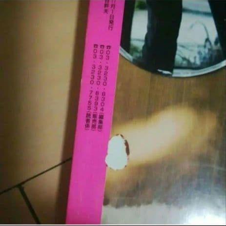 雑誌　2006年　11月号　PINKY　ピンキー