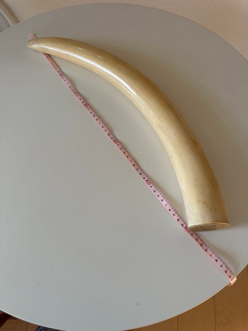 象牙風　インテリア装飾品