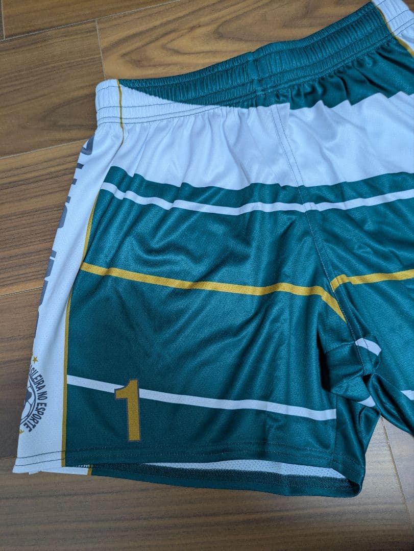 ☆グリーン　dalponte　バレーボール　ゲームパンツ　パンツ　アシックス