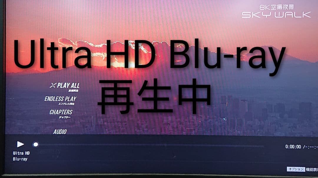 1/11迄/ソニー/BDZ-FW1000/1TB/4K出力対応/外付HDD対応