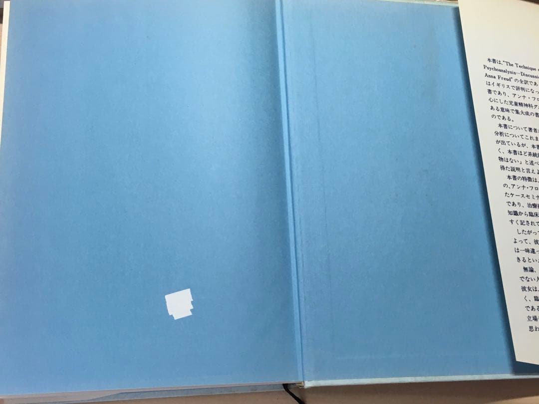 児童分析の技法　アンナ・フロイトのケースセミナー