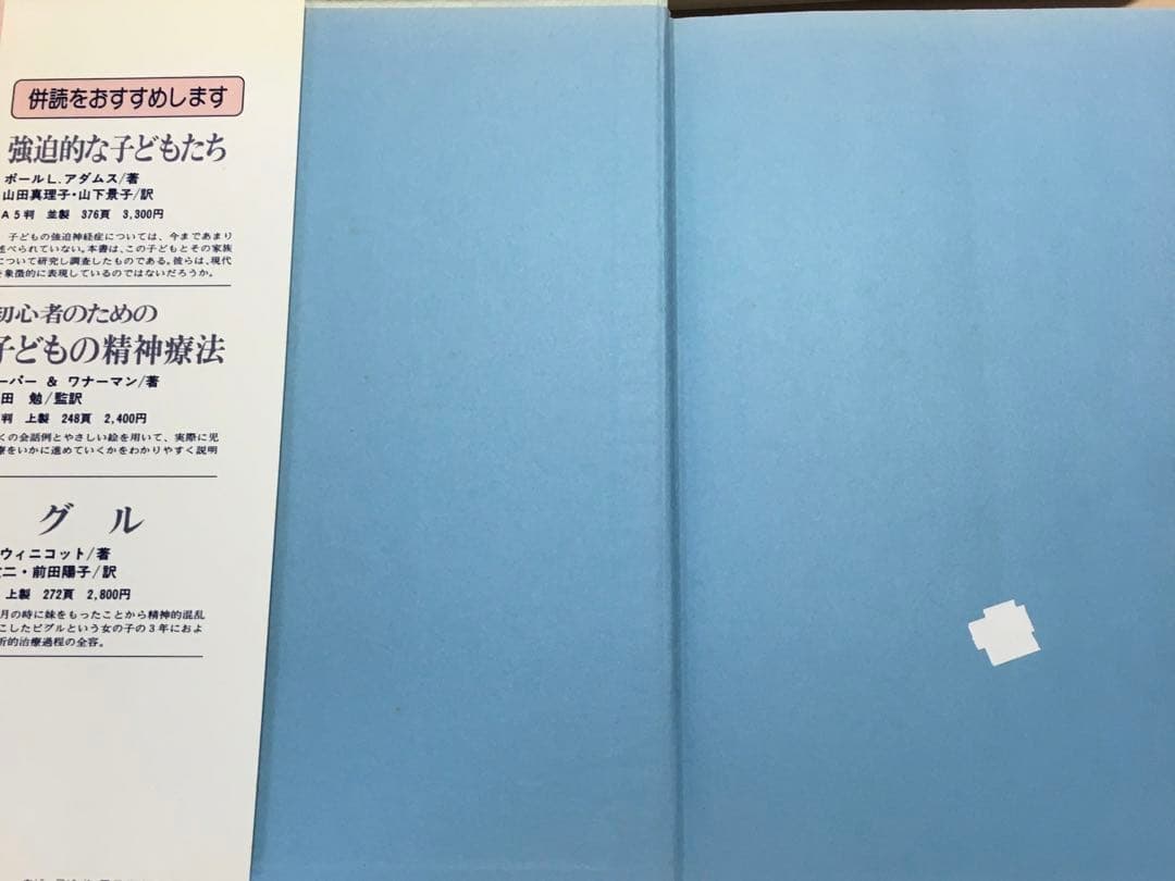 児童分析の技法　アンナ・フロイトのケースセミナー