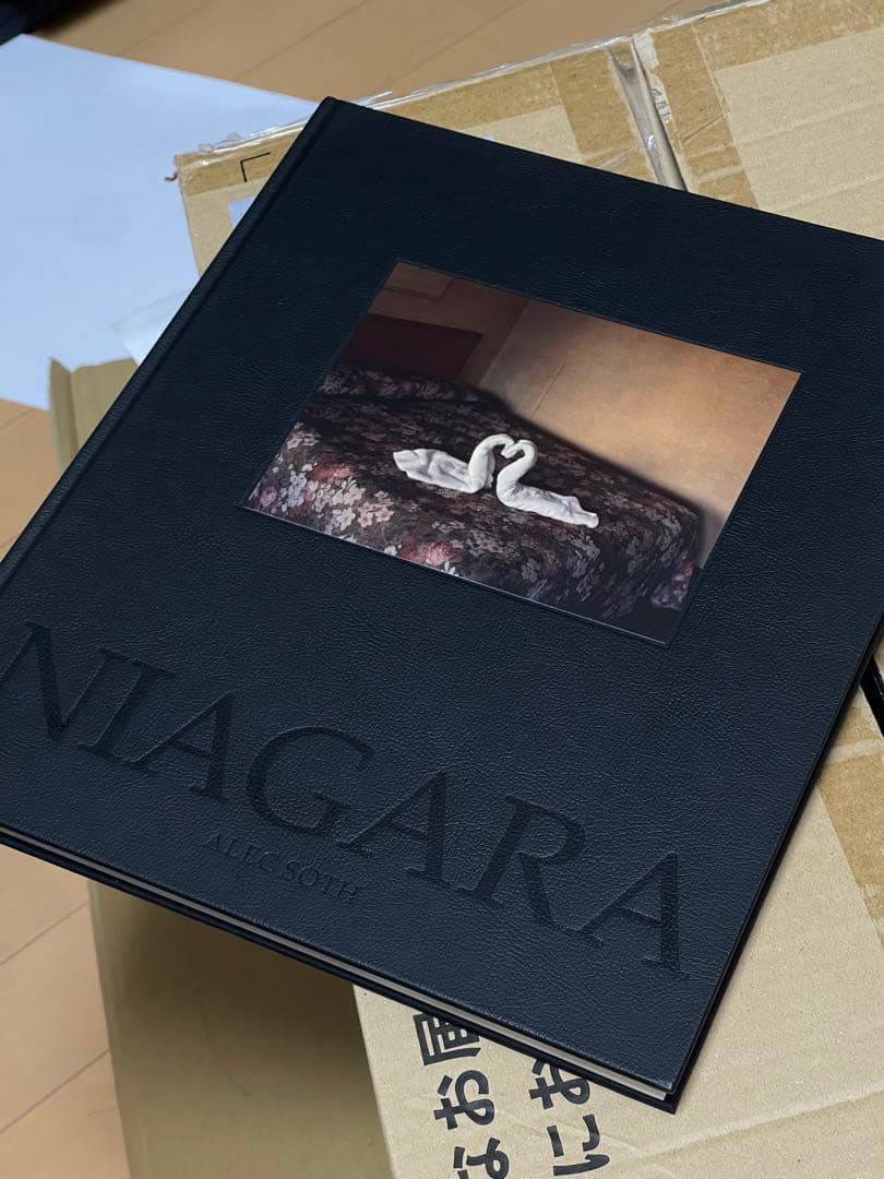 ALEC SOTH NIAGARA アレック・ソス 作品集 写真集 ナイアガラ