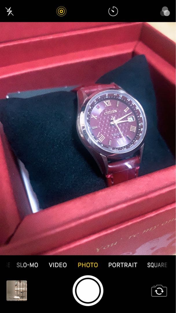 EcoMonty⭐︎⭐︎