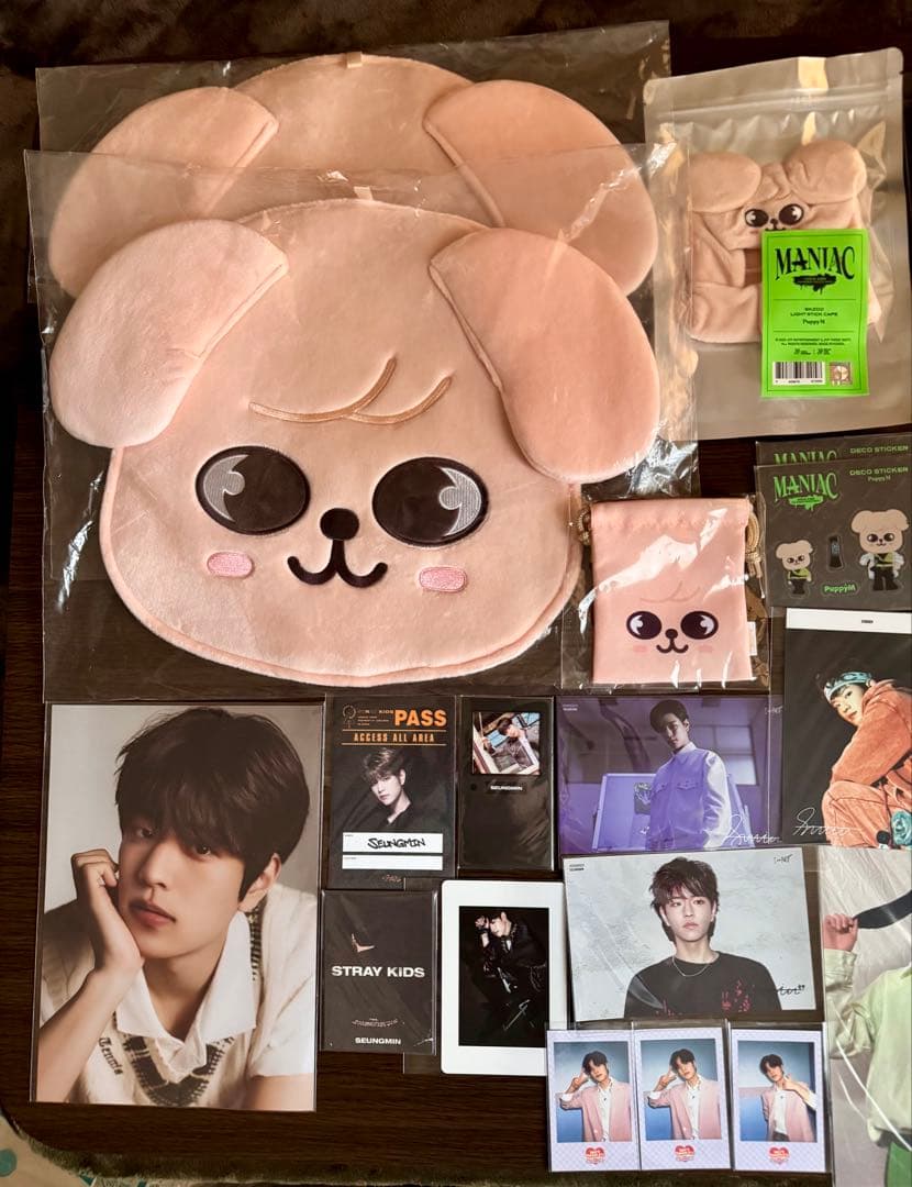 straykids スンミン　トレカ　グッズ　まとめ売り