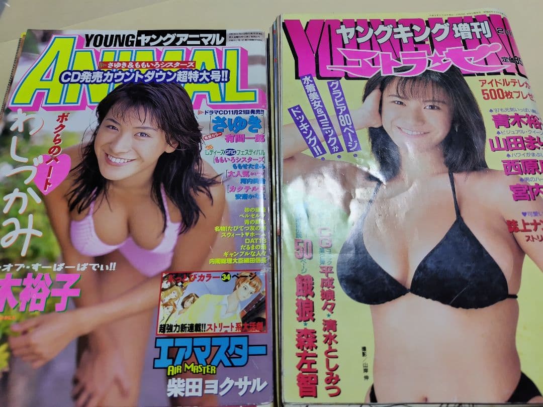 ♪ヤングキング増刊 エトランゼ 青木裕子&ヤングアニマル 「表紙グラビアのみ」