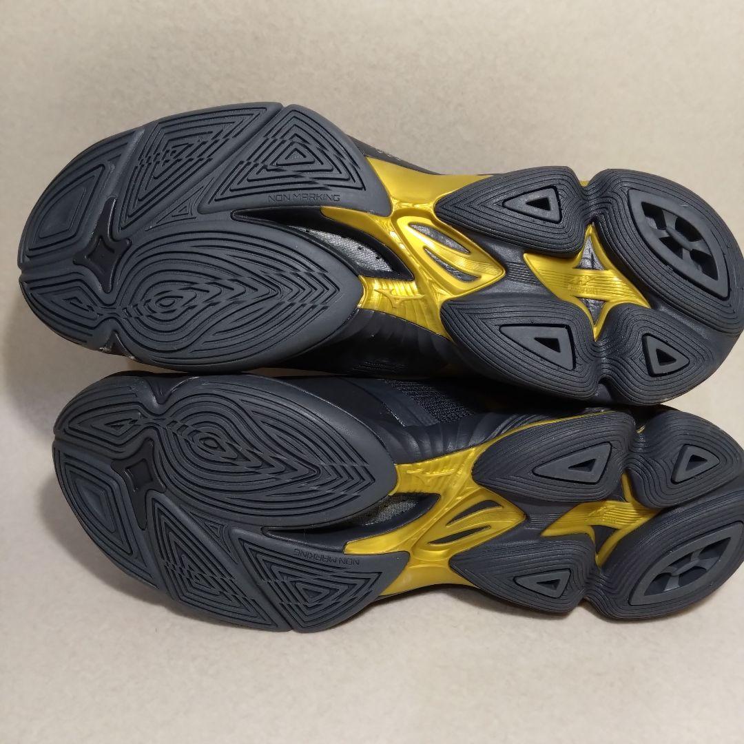ミズノ バレーボールシューズ ウエーブライトニング NEO 2 29.5cm