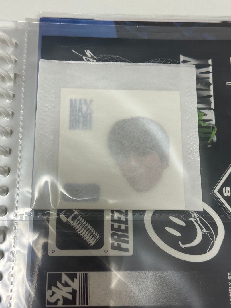 straykids スンミン トレカ まとめ売り セットパピーム