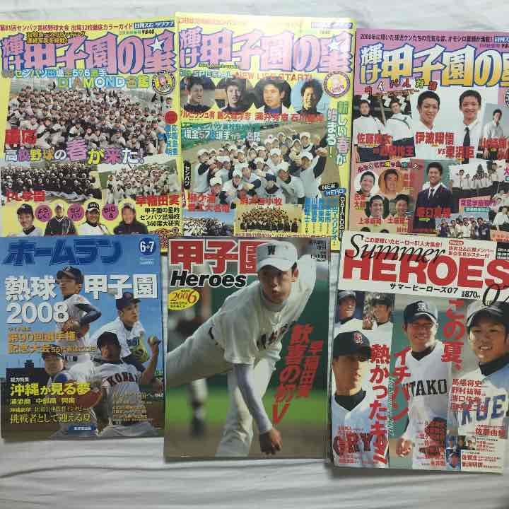 甲子園の星 輝ける高校球児 サマーヒーローズ 甲子園ヒーローズ