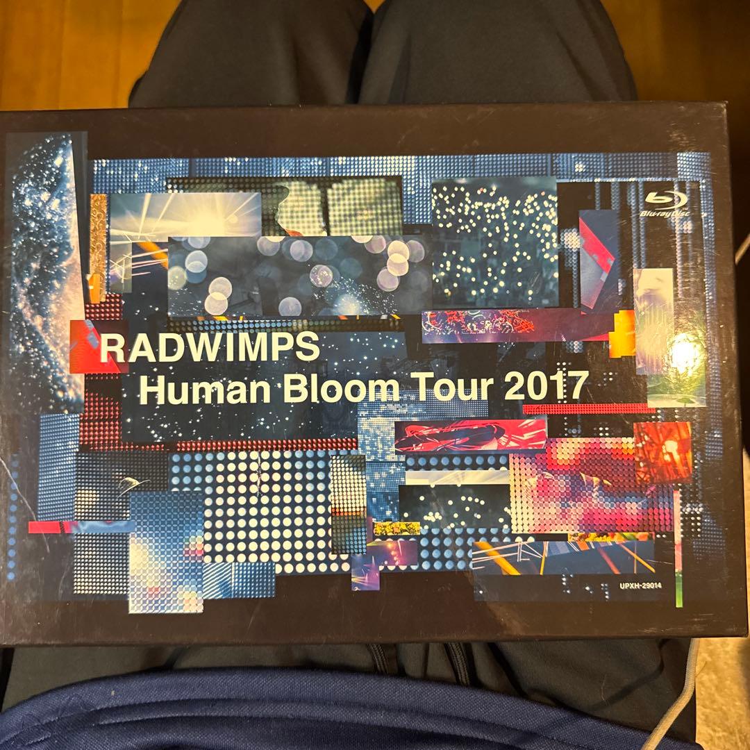 RADWIMPSグッズまとめ売り（全20点）