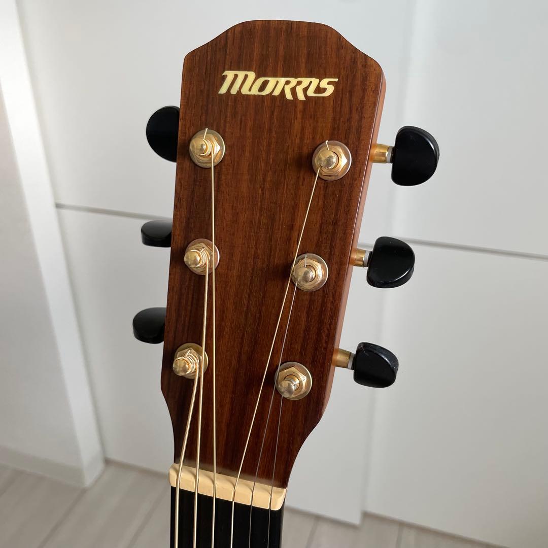 Morris S-30 モーリス アコギ アコースティックギター カッタウェイ
