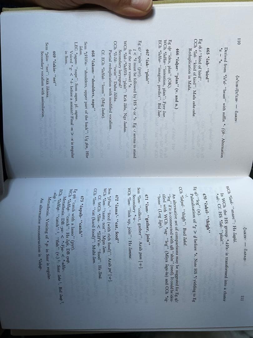 ハム・セム語族（アフロアジア語族）語源辞典