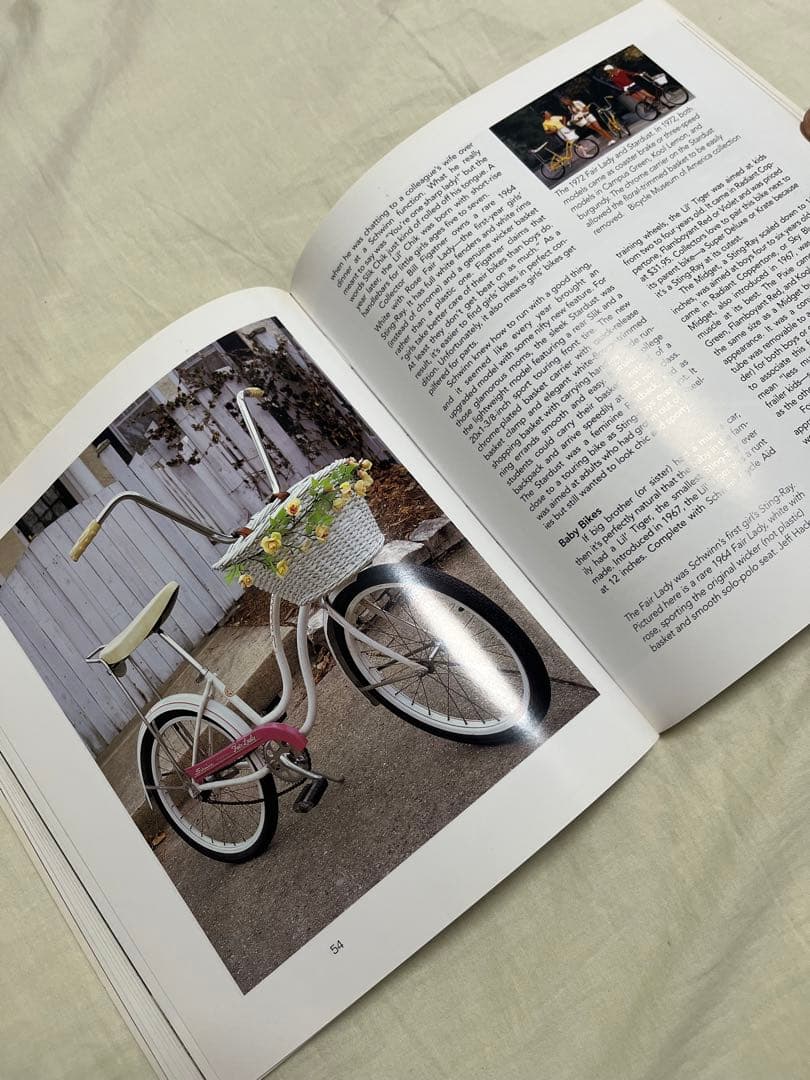 shwinn stingray シュウィン スティングレー 絶版コレクター本