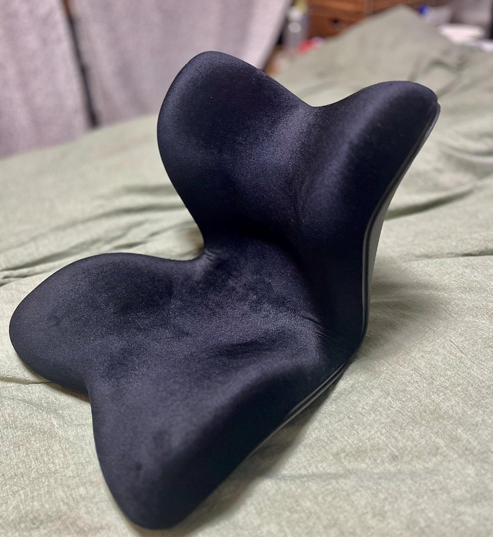 美品　MTG Style PREMIUM DX（ 骨盤矯正 サポートチェア）