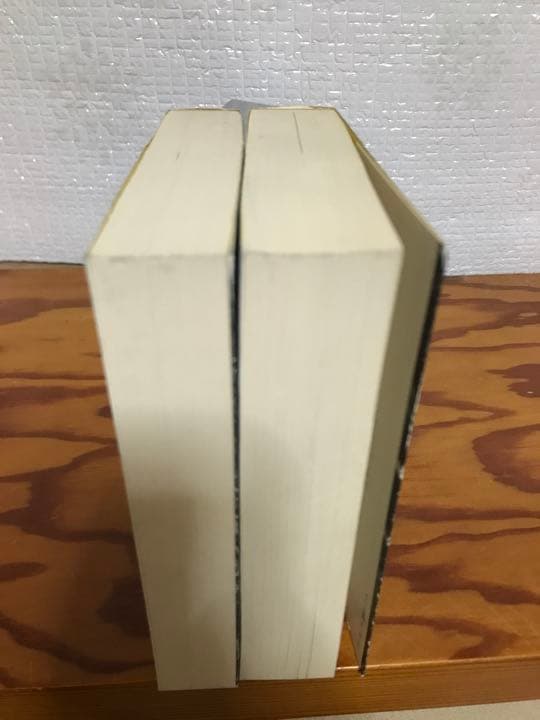 女性の歴史　高群逸枝　上下2冊揃い 講談社文庫　書き込み無し使用感無しの美品